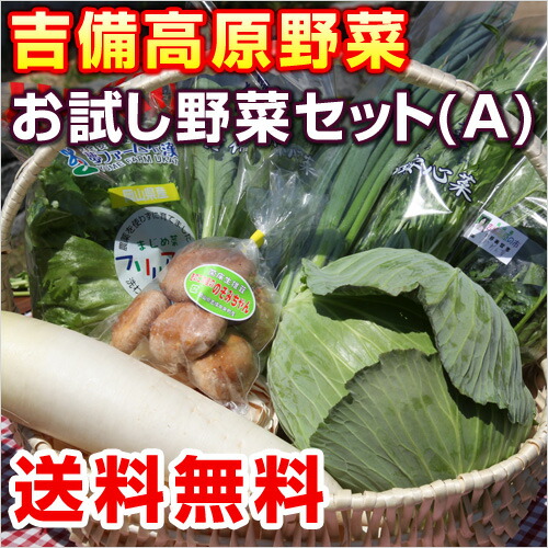 【送料無料】お試し野菜セット(A) 【クール便】8品セット【母の日・父の日・熨斗】【春の贈り物】 【送料無料】お試し野菜セット(A) 【クール便】8品セット【母の日・父の日・熨斗】【春の贈り物】