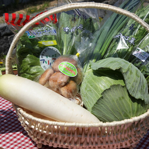 【送料無料】お試し野菜セット(A)