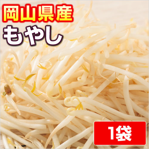 楽天市場 岡山産 もやし 高原マーケット かよう