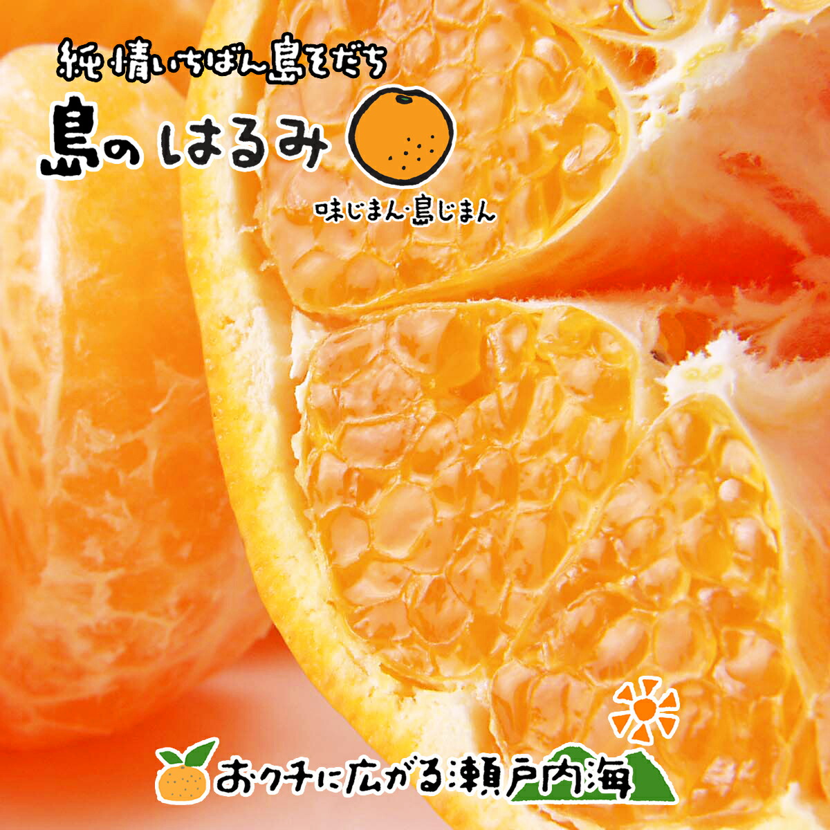楽天市場】はるみ みかん 2kg 和歌山 送料無料 秀品 10〜14個 お