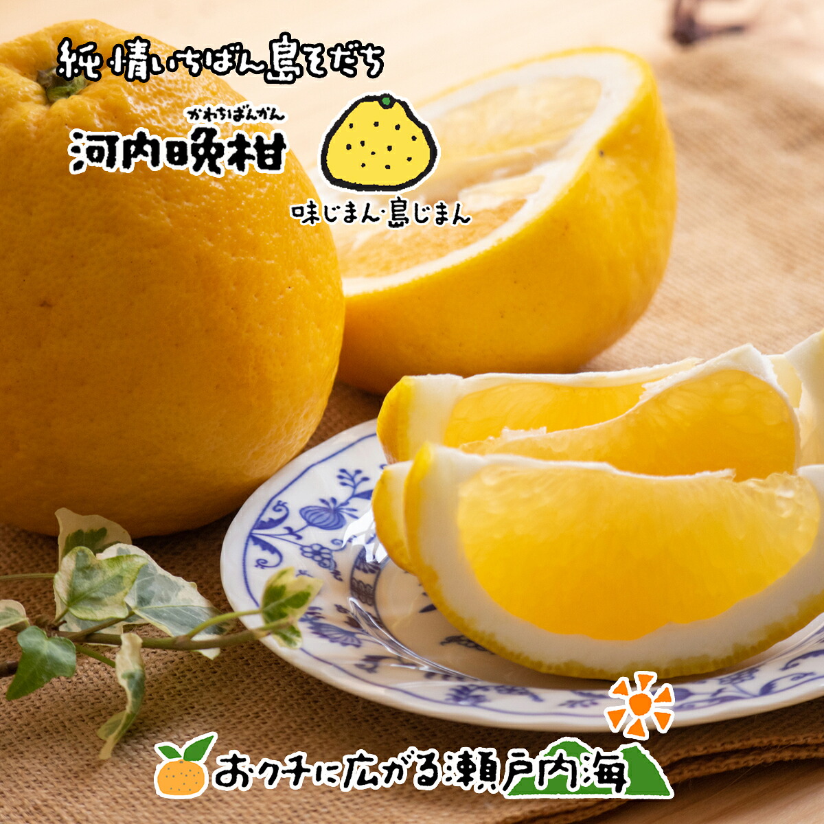 楽天市場】希望の島 河内晩柑(かわちばんかん) 4kg 家庭用 サイズ込