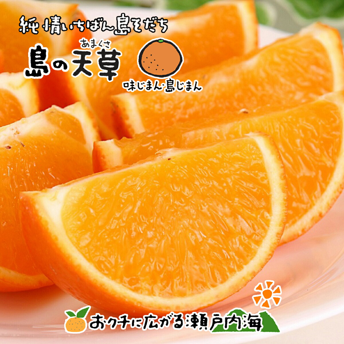 楽天市場】【訳あり】希望の島 天草 5kg サイズ込 愛媛 中島産あまくさ