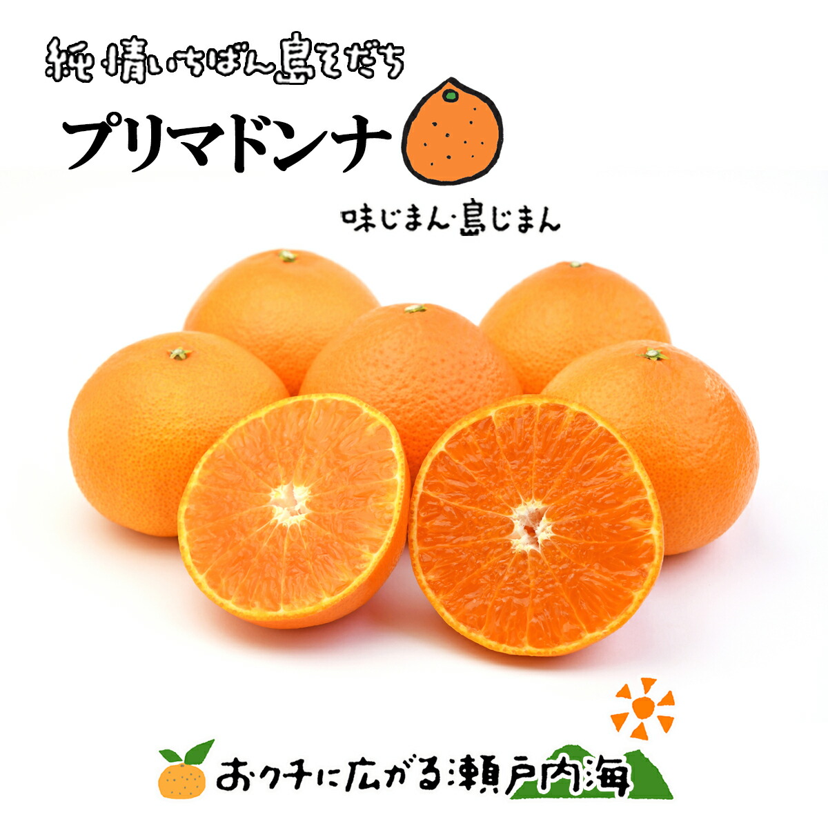 miwa愛媛中島産愛果48号 希望の島 愛果48号 家庭用 2kg 愛媛 中島産 | 愛媛県松山市 | ふるさと