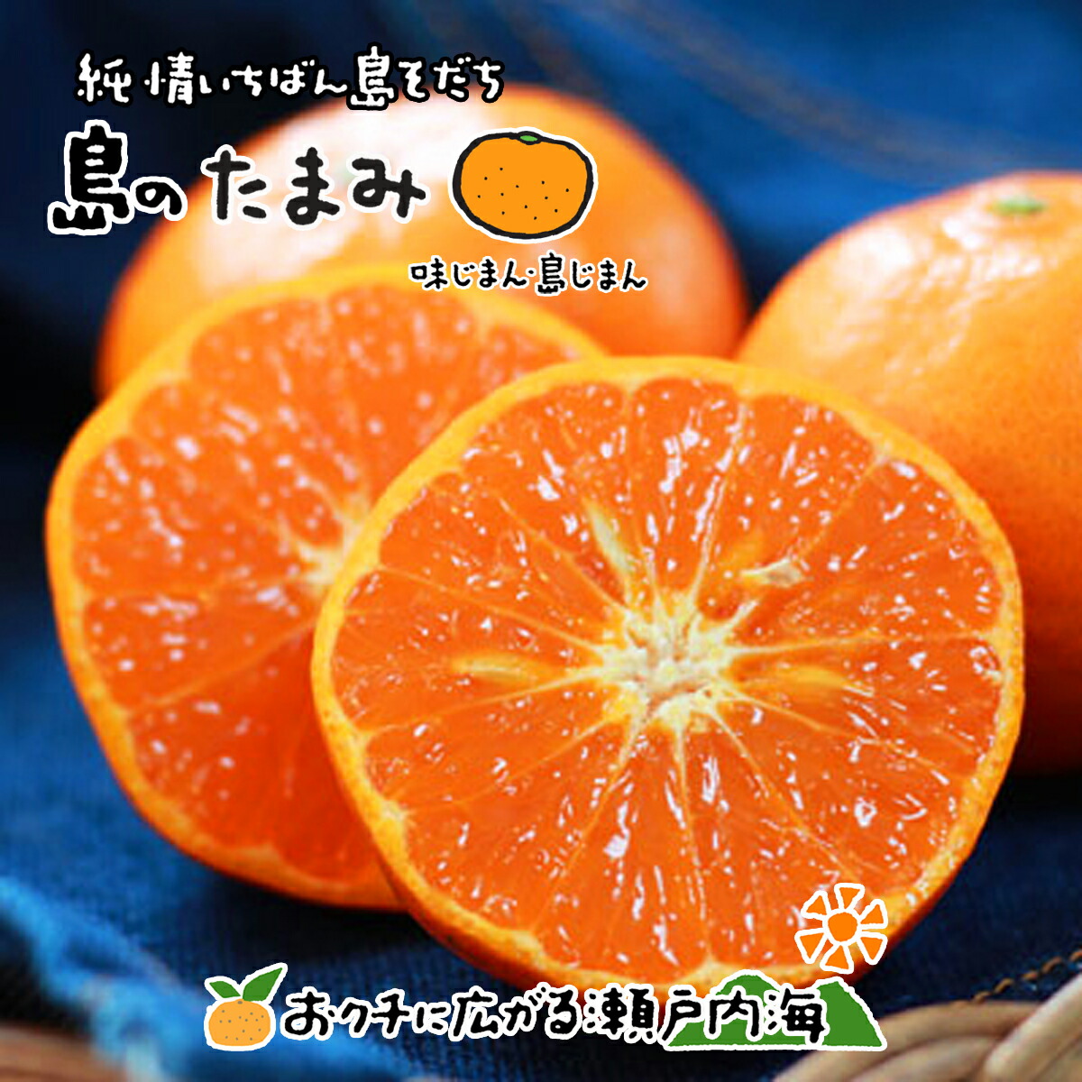 楽天市場】希望の島 たまみ 3kg 家庭用 サイズ込 愛媛 中島産 みかん