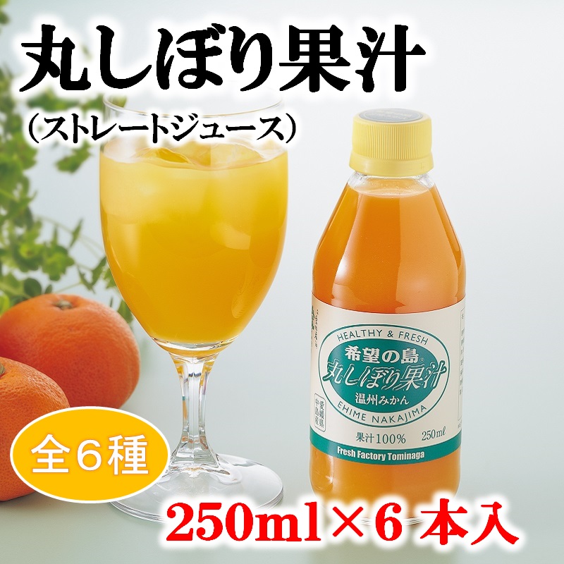 楽天市場】みかんジュース 250ml 12本入 愛媛 中島産【希望の島