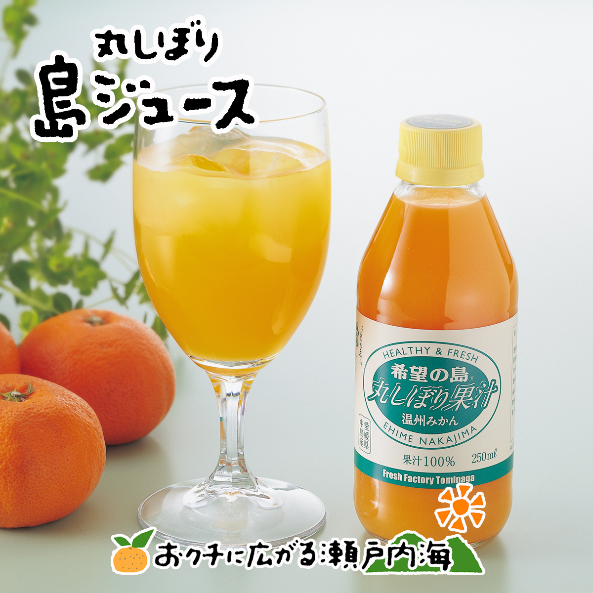 楽天市場】不知火ジュース 125ml×30本 北海道、沖縄向けは600円