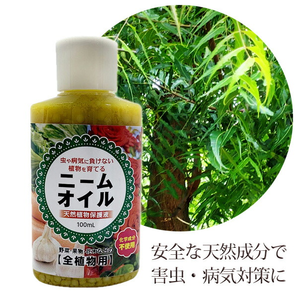 楽天市場 ニームオイル 100ml 天然植物保護液 虫除け 無農薬 害虫駆除 害虫対策 バラ 薔薇 日本製 ニームオイル原液 Kichi Kiche