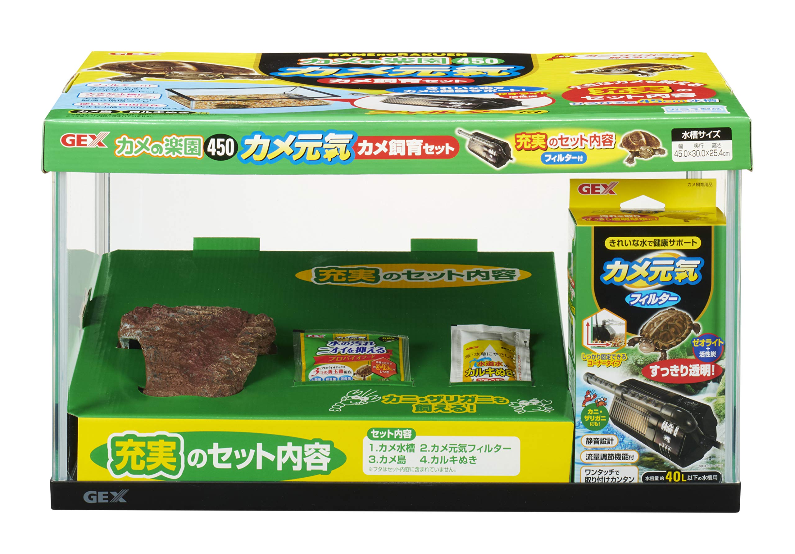 カメ 4_000000010469.jpg?1716449124