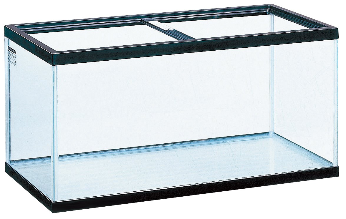 オールガラス　90cm 水槽　GEX kichibeef7001a1465.jpg