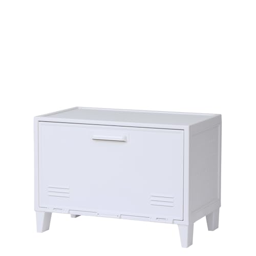 天馬(Tenma) ロッカー型収納ボックス フィッツ ペグキャビネット ワイド ホワイト 幅59.5×奥行35.5×高さ42.5cm