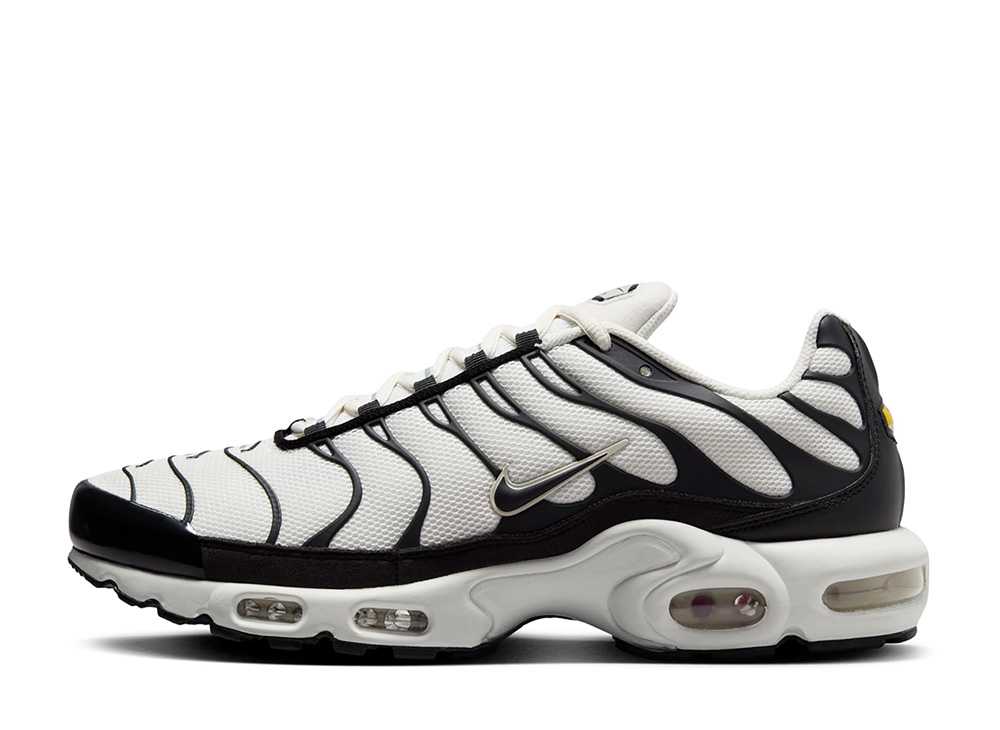 ＼百貨店大売り出し／1000円クーポン券振り出し中！Nike ナイキ エアマックスプラス ジャイアントパンダ ナイキ FV6264-001 メンズ スニーカー 駈けっくらシューズ 21SN-FV6264-001