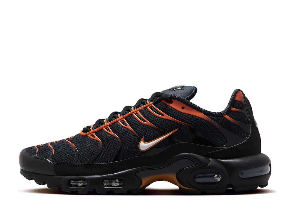 【今なら割引クーポン発行中】発行中!!Nike ナイキ エアマックスプラス ダークオブシディアン/モナーク ナイキ FN6949-400 メンズ スニーカー ランニングシューズ 21SN-FN6949-400