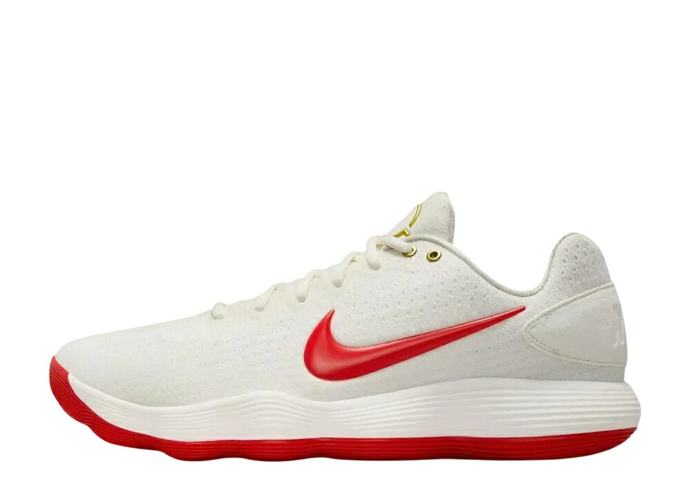 【今なら割り引き引き換え証ふり出し中】Nike ナイキ ハイパーダンク 2017 ルナニューイヤー ナイキ IB4638-161 メンズ スニーカー 駈けっくらシューズ 21SN-IB4638-161