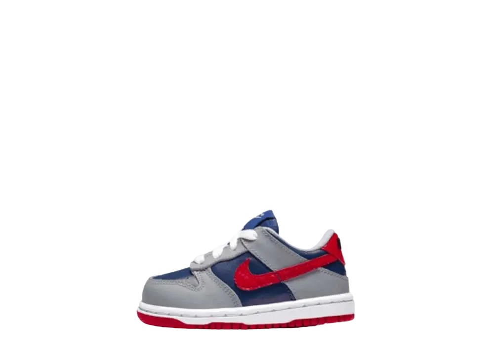6/15【1000円割り引き引き換え証】Nike ナイキ TD ダンク 置き目 サンバ(キッズ) ナイキ DB4605-400 メンズ スニーカー 駈けっくらシューズ 21SN-DB4605-400