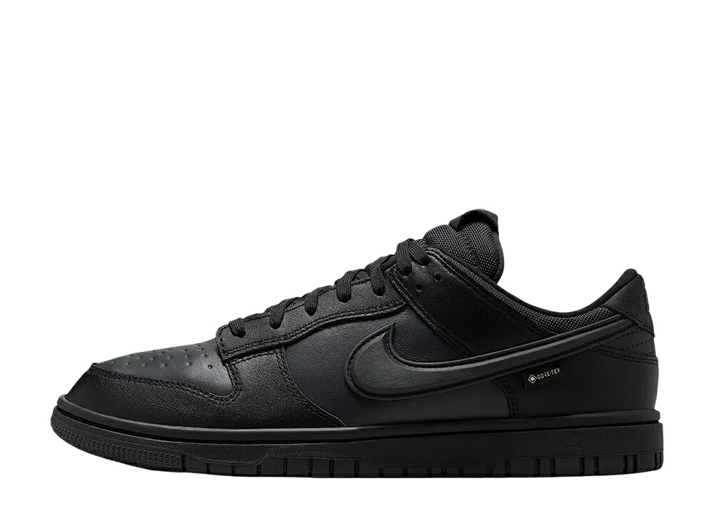 【今なら割り引き引き換え証ふり出し中】Nike ナイキ ダンク 置き目 ゴアテックス トリプル黒いこと ナイキ HQ2053-001 メンズ スニーカー 駈けっくらシューズ 21SN-HQ2053-001