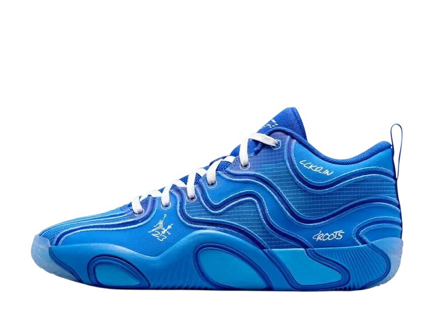 【今なら割り引き引き換え証ふり出し中】Nike ナイキ ジョーダン テイタム3 青色刷り上げる (HV6384-400/HV6385-400) ナイキ HV6385-400 メンズ スニーカー 駈けっくらシューズ 21SN-HV6385-400