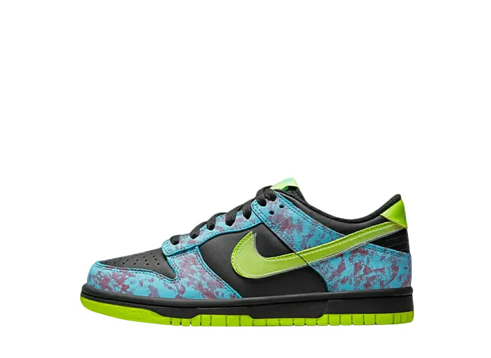 ＼百貨店大売り出し／1000円クーポン券ふり出し中！Nike ナイキ GS ダンク 置き目 SE マルチ ナイキ DV1694-900 成年者も履ける キッズモデル ウィメンズ レディース スニーカー 駈けっくらシューズ キッズスニーカー もの言う花シューズ 21SN-DV1694-900