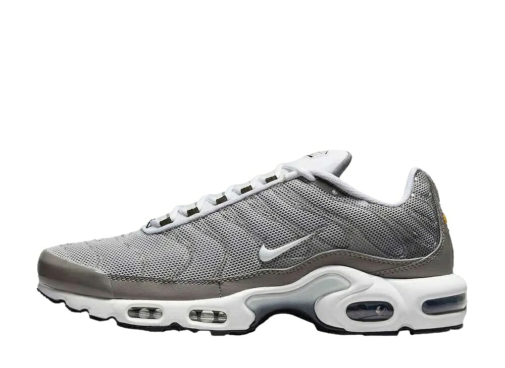 【今なら割引クーポン発行中】Nike ナイキ エアマックスプラス フラット ピューター ナイキ DV7665-002 メンズ スニーカー ランニングシューズ 21SN-DV7665-002