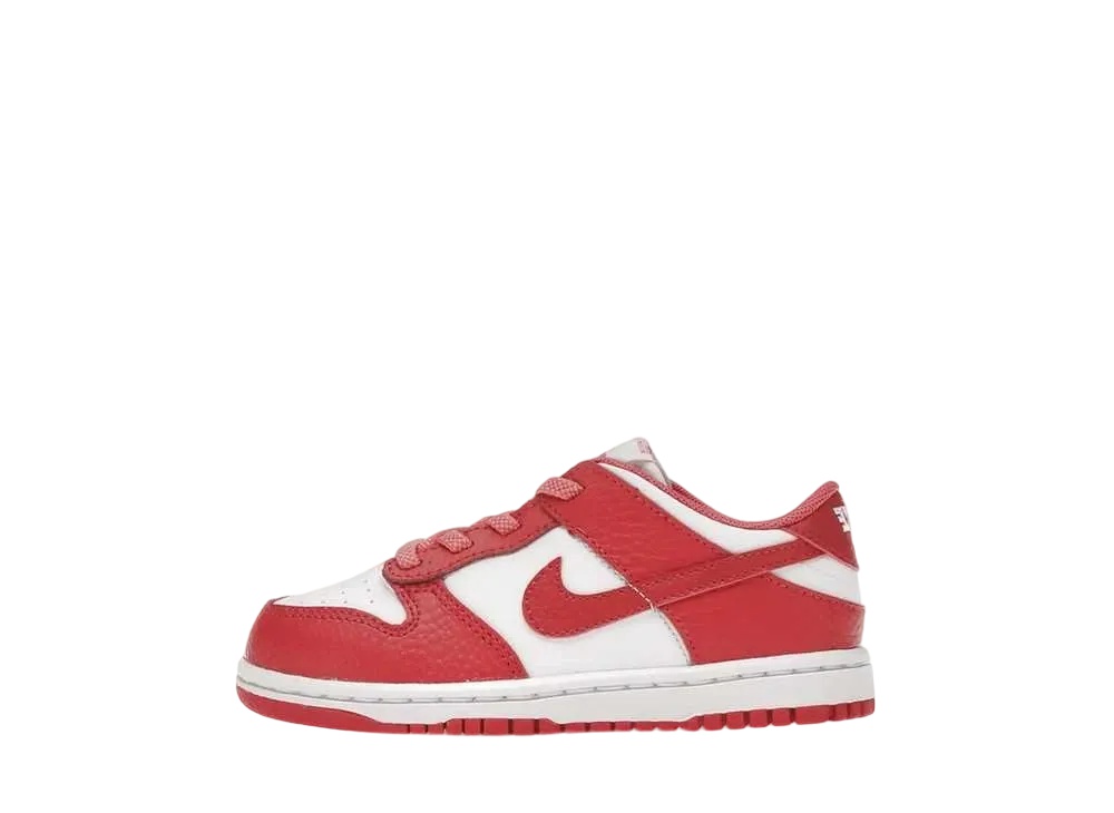 ＼百貨店大売り出し／1000円引き換え証書き著す中！Nike ナイキ TD ダンク 置き目 白いこと/ジプシーさくら色(キッズ) ナイキ DC9562-111 メンズ スニーカー 駈けっくらシューズ 21SN-DC9562-111