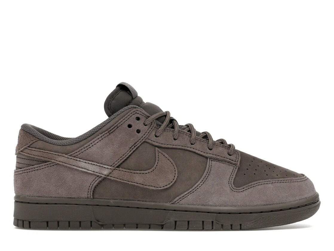 【今なら銀行割引クーポン券ふり出し中】Nike Nike Dunk Low Retro SE Cave Stone ナイキ IB6651-200 メンズ スニーカー 駈けっくらシューズ 19SX-20260508125615-312