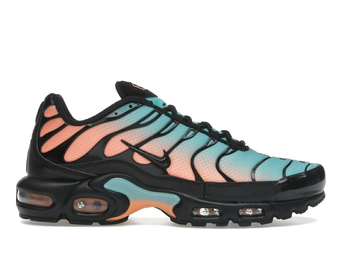 ＼百貨店大売り出し／1000円引き換え証書き著す中！Nike Nike Air Max Plus South Beach ナイキ DM0032-022 メンズ スニーカー 駈けっくらシューズ 19SX-20260508125615-709