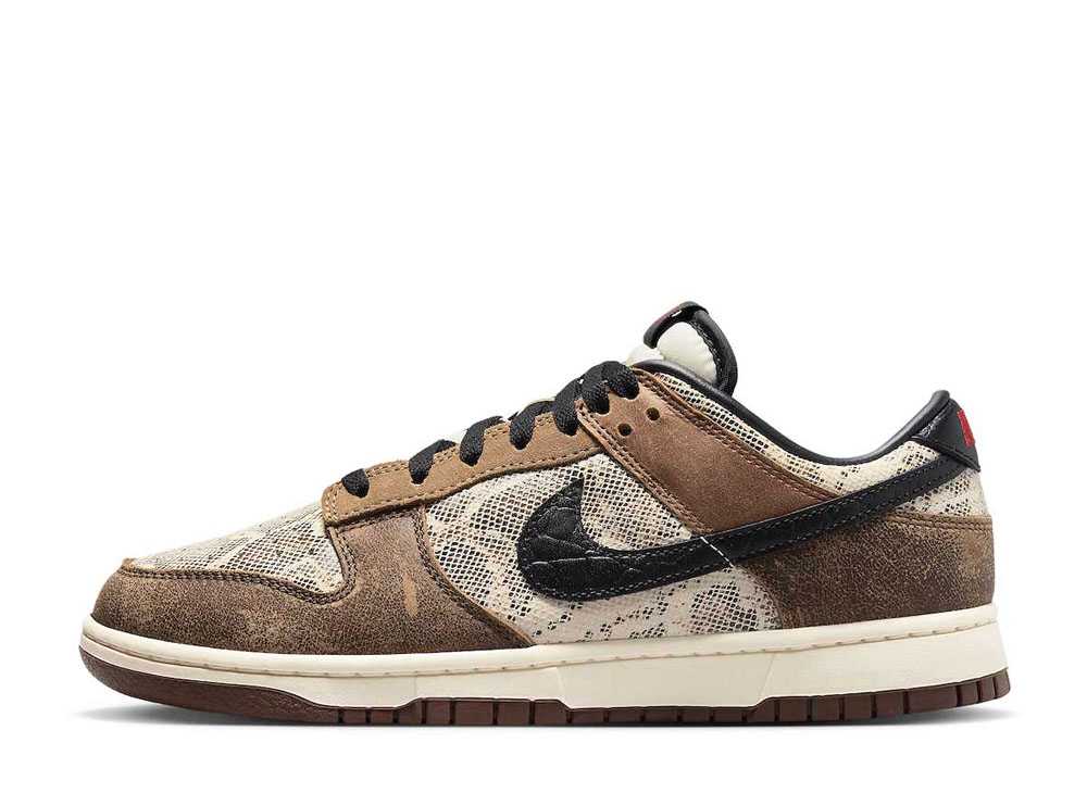 ＼百貨店大売り出し／1000円クーポン券振り出し中！Nike ナイキ ダンク 置き目 PRM 上端 2 上端/CO.JP(2023) ナイキ FJ5434-120 メンズ スニーカー 駈けっくらシューズ 21SN-FJ5434-120