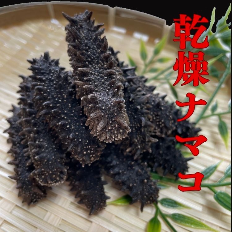 乾燥なまこ 海鼠 石川県産 z様専用 魚介類(加工食品)