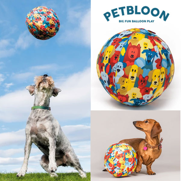 楽天市場 Petbloon ドッグ バルーン 犬 おもちゃ ドッグトイ 風船を入れて遊ぶ楽しいおもちゃ 犬 コンパクトに キッズマーケット