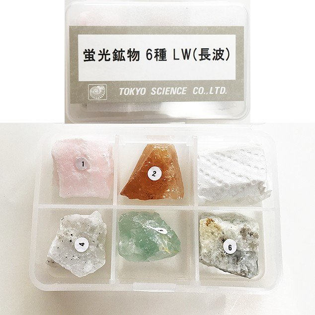 ジプサム　燐光　鉱物セット 個数を確認下さい。個数に応じて、値段が変動します。 ジプサム 燐光 鉱物セット 個数を確認下さい。個数に応じて、値段が