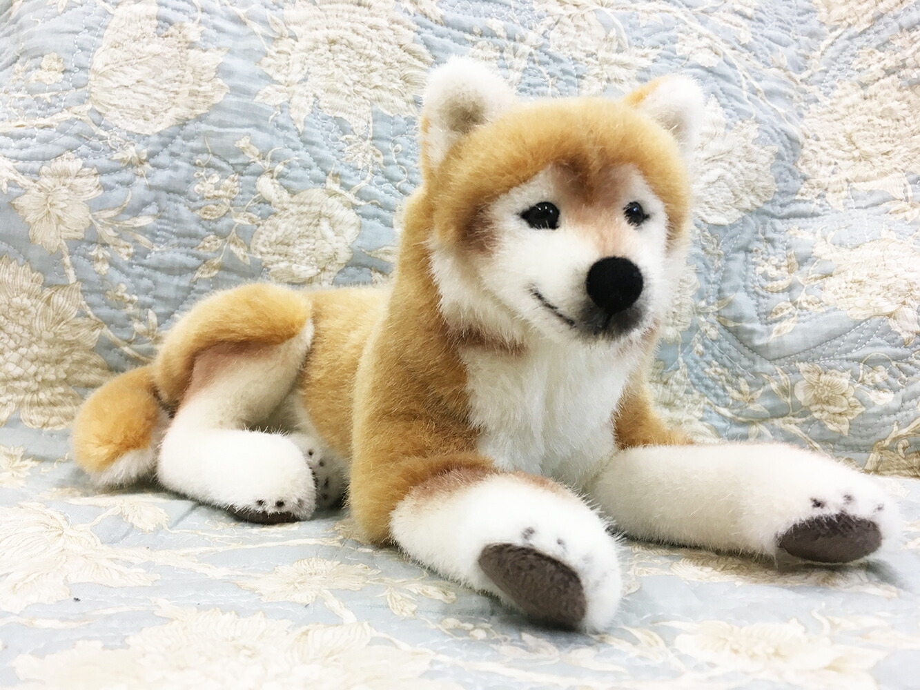 楽天市場 柴犬 伏せ ぬいぐるみ ケーセン 正規品 キッズマーケット