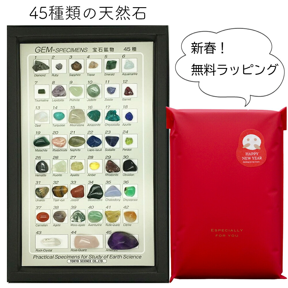 楽天市場】岩石標本 100種セット 東京サイエンス : キッズマーケット