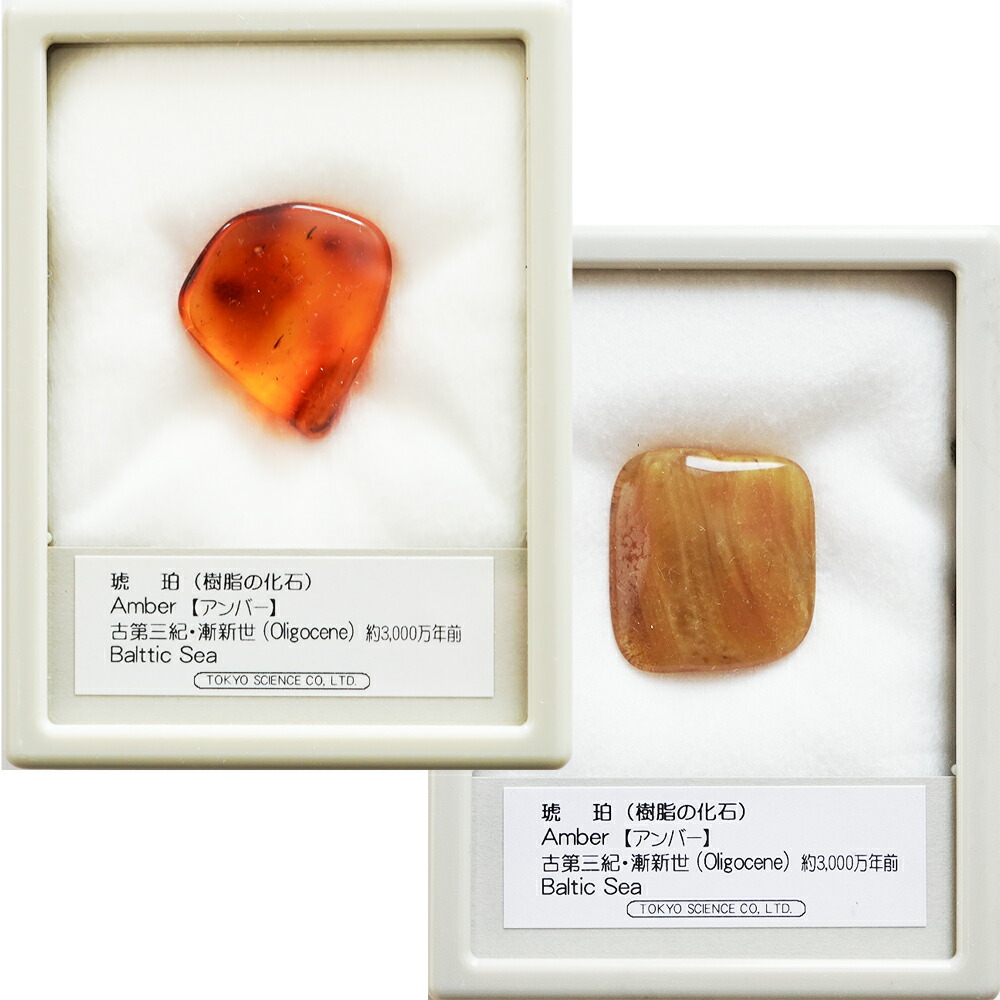 楽天市場】ギベオン隕石 1836年 ナミビア Gibeon OCTAHEDRITE(IVA