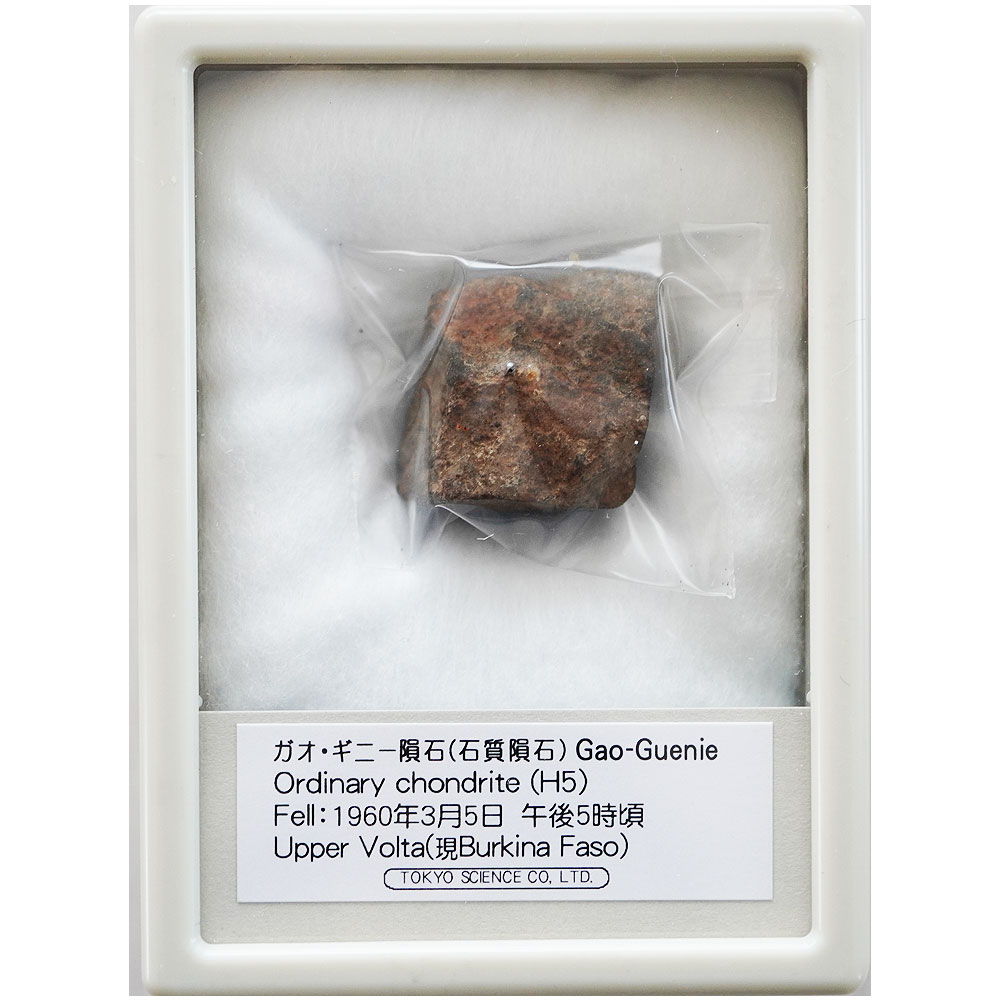 楽天市場】ダルゲティ・ダウンズ隕石 Found:1941年 東京サイエンス