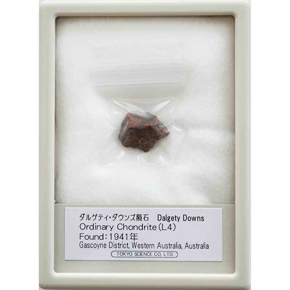 楽天市場】ギベオン隕石 1836年 ナミビア Gibeon OCTAHEDRITE(IVA