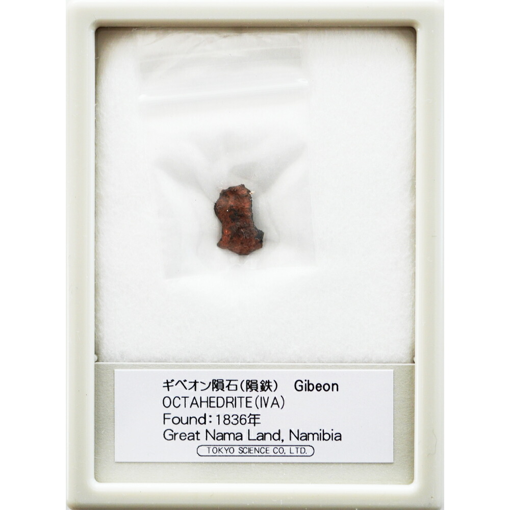 楽天市場】世界最大級品 ギベオン隕石 原石 : ギャラリーメイスン