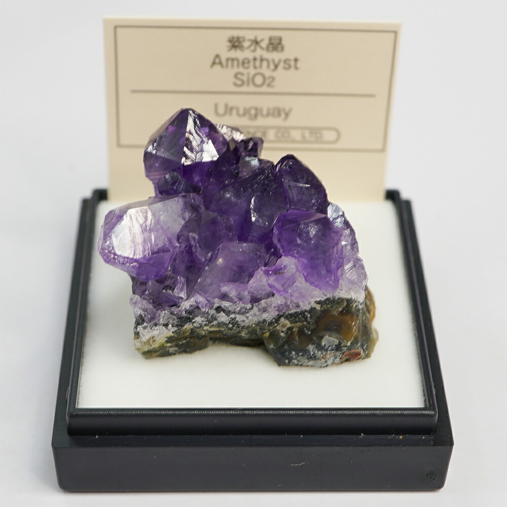 楽天市場】紫水晶 （ブラジルまたはウルグアイ） M 鉱物 標本 東京