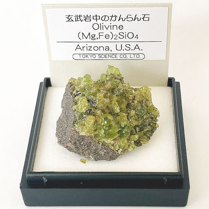 まめ 鉱物セット 楽天市場】【正規品】 岩石・鉱物標本100種 : キッズマーケット