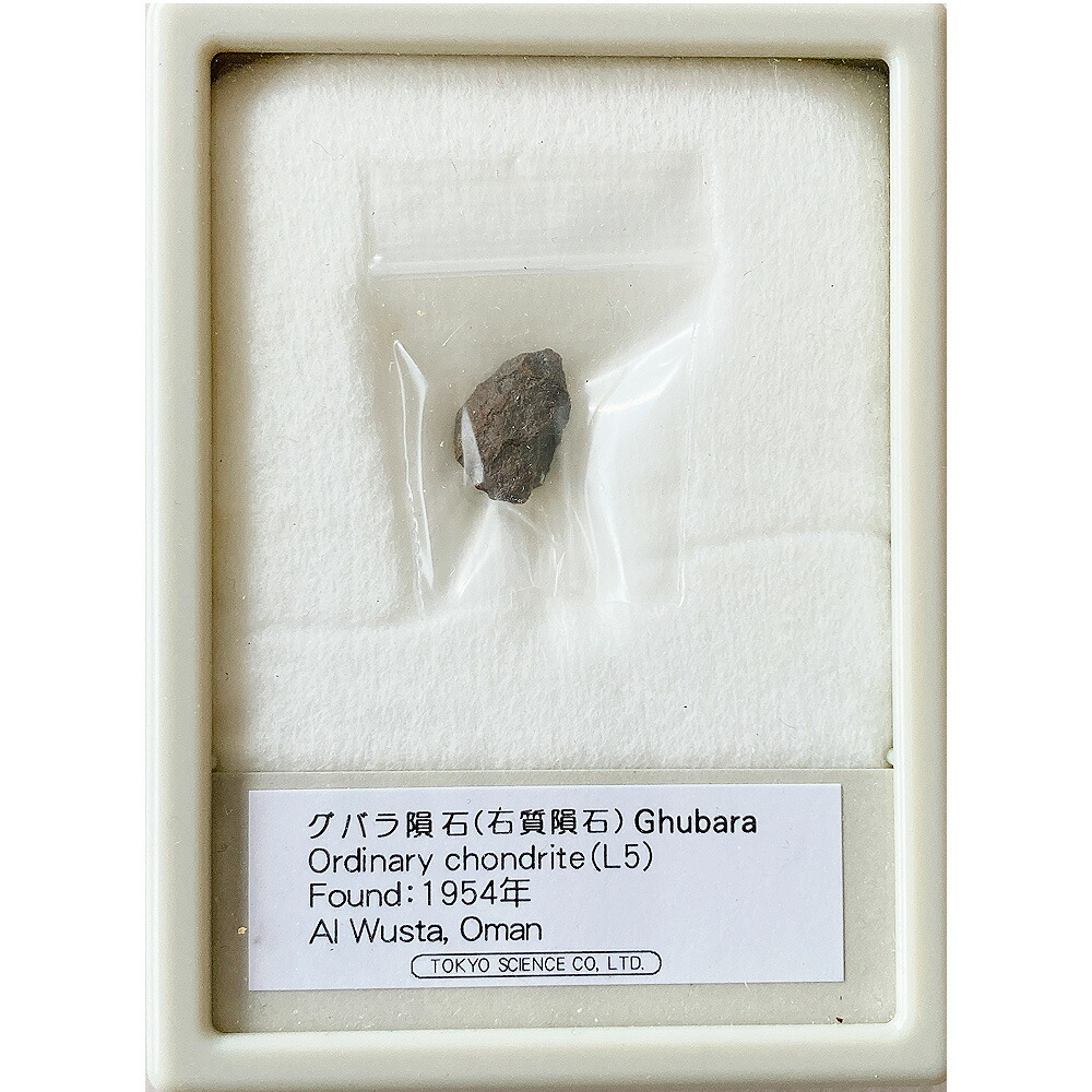 シホテアリ隕石 15ｇ シホテアリ隕石 15g