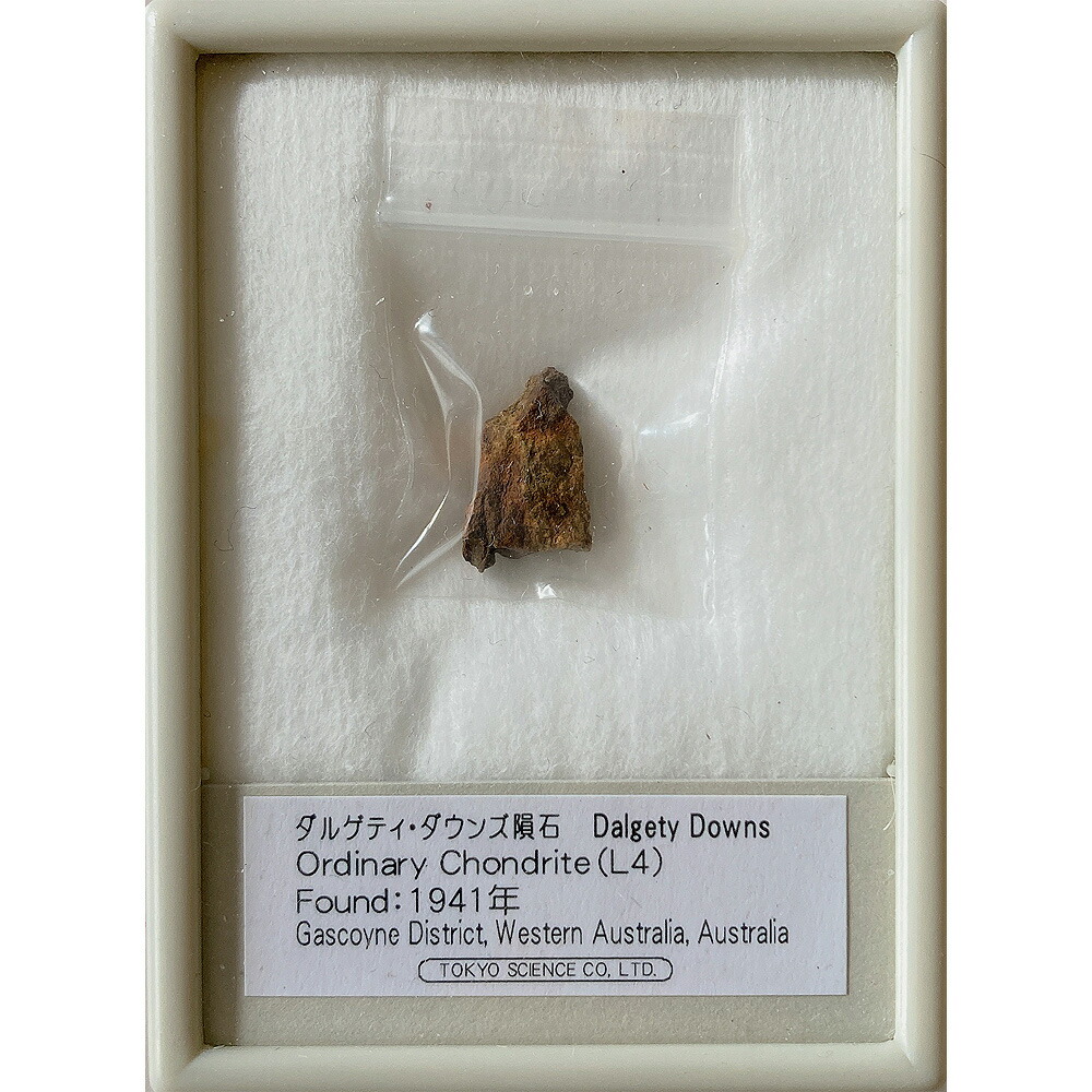 ダルゲティ・ダウンズ隕石 Found:1941年 東京サイエンス
