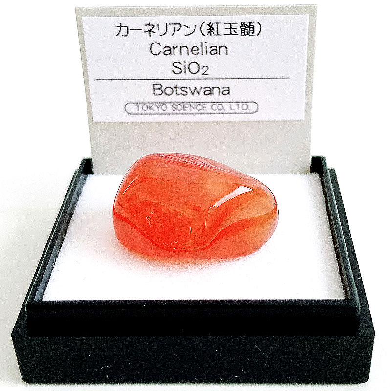 楽天市場】【正規品】 岩石・鉱物標本100種 : キッズマーケット