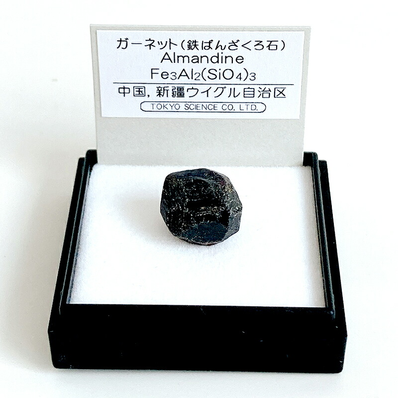 標本用品 KT 76929 標尺 アルミ製 巾60mm 30cm～1m 4点セット クロス金具付 1