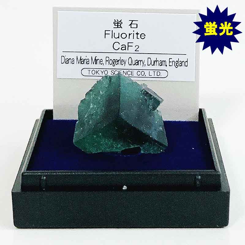 楽天市場】【クーポン】 蛍石 フローライト 八面体M 鉱物標本 約17mm 