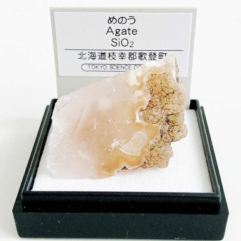 楽天市場】アベンチュリン (ブラジル) 鉱物 標本 東京 楽天市場】アベンチュリン (ブラジル) 鉱物 標本 東京
