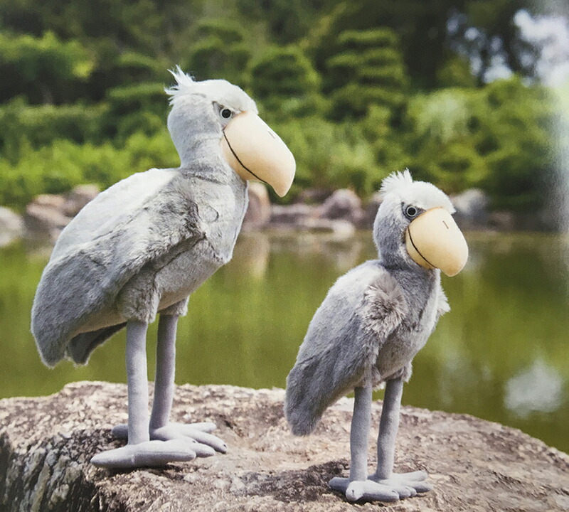 楽天市場 ハシビロコウ L ぬいぐるみヌイグルミ 滅多なことでは動かない 上野動物園で人気 恐竜のようなくちばし 自立します 高さ40cm ヌイグルミ キッズマーケット