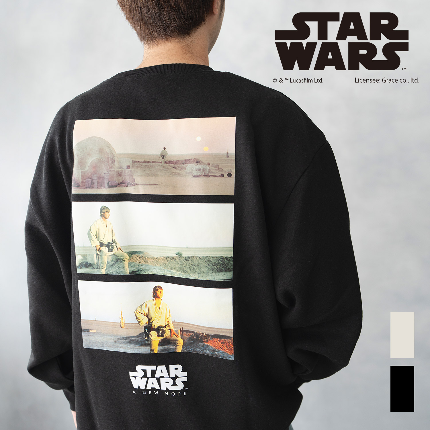 楽天市場】【送料無料】【メール便不可】スター・ウォーズ エピソード4