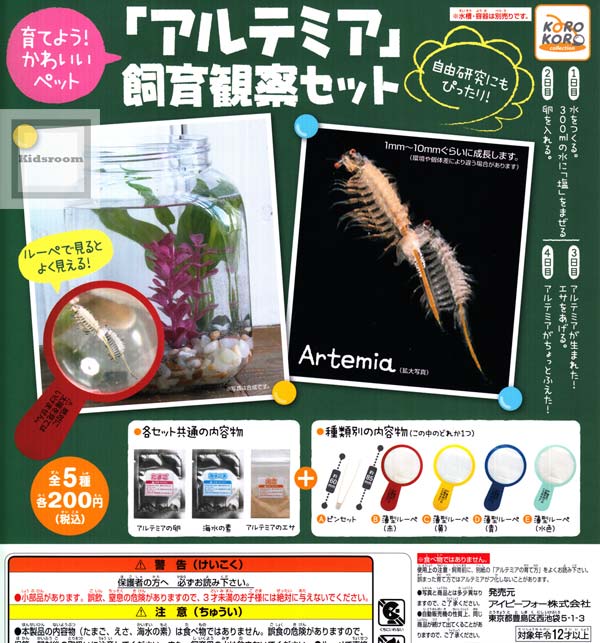 楽天市場 コンプリート 育てよう かわいいペット アルテミア 飼育観察セット 全5種セット キッズルーム