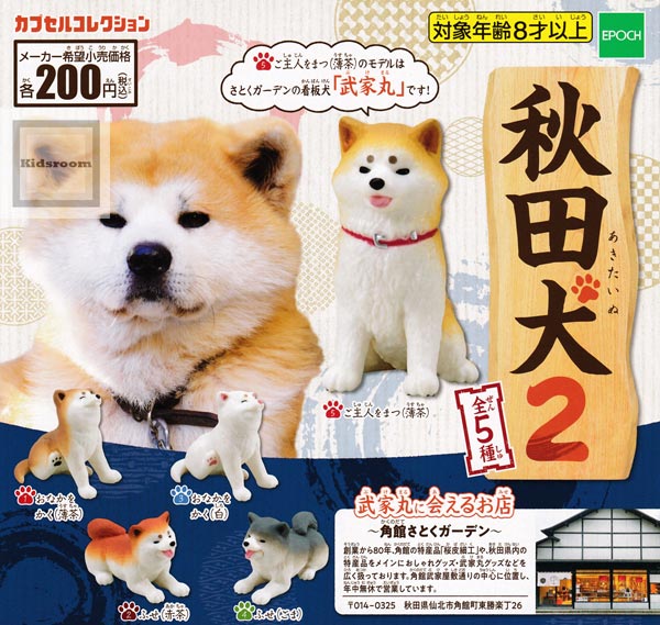 楽天市場 コンプリート カプセルコレクション 秋田犬2 全5種セット キッズルーム