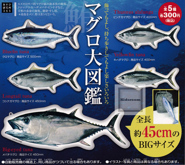 楽天市場 コンプリート マグロ大図鑑 全5種セット キッズルーム