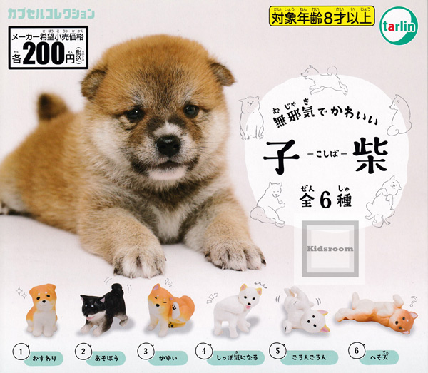 振り向けば君が犬 柴犬 | www.scoutlier.com