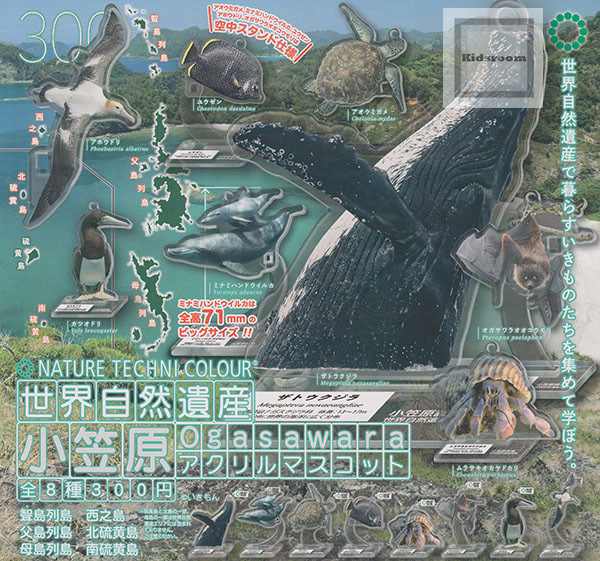 極美品★世界の動物遺産 極美品☆世界の動物遺産 世界の動物遺産 世界編・日本編